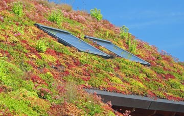 Bracklesham living roof systems