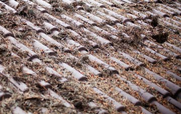 Bracklesham roof cleaning companies