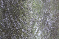 Bracklesham fibreglass roof work